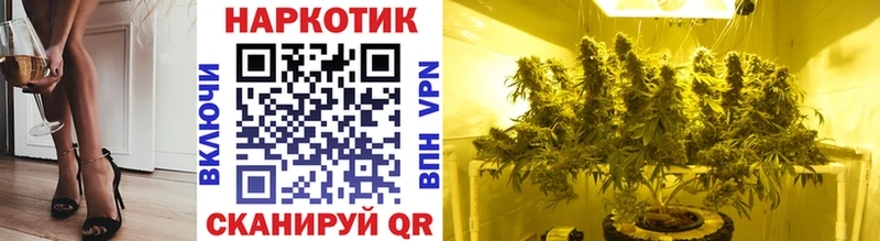 Магазины продажи наркотиков Подольск Бошки Шишки  кракен ONION  ГАШ  Альфа ПВП  ТГК 