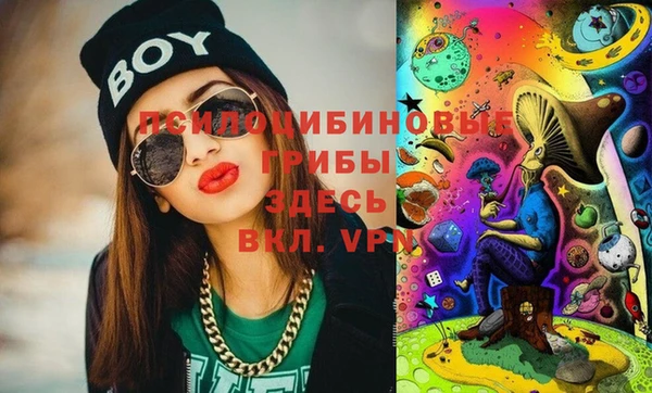 мдма Ладушкин