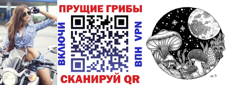 Псилоцибиновые грибы мухоморы  Подольск 