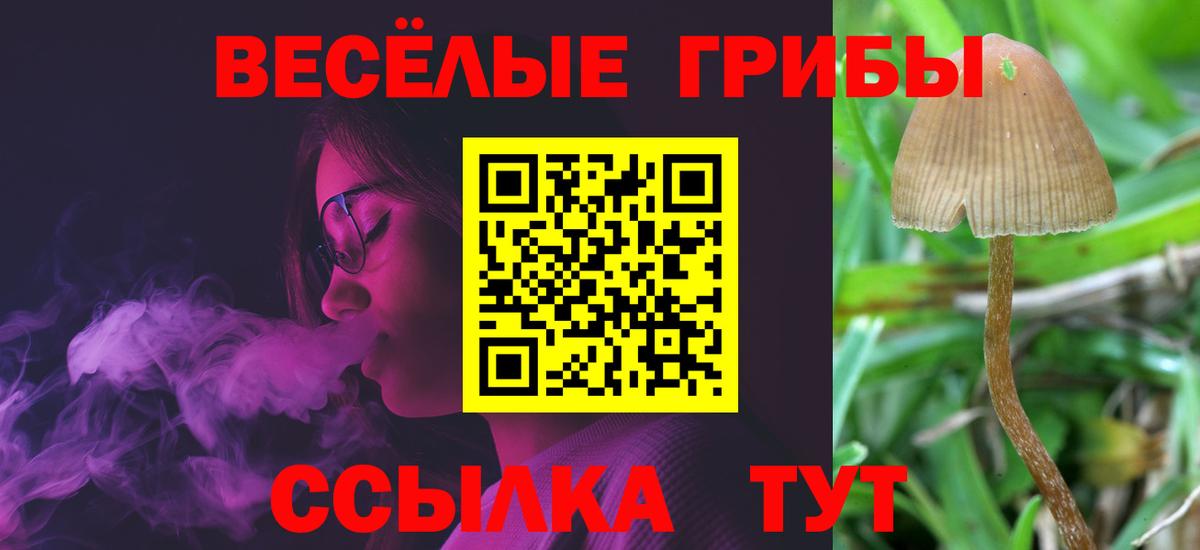 Подольск  купить наркотики сайты  Вход с VPN  Псилоцибиновые грибы Psilocybe 